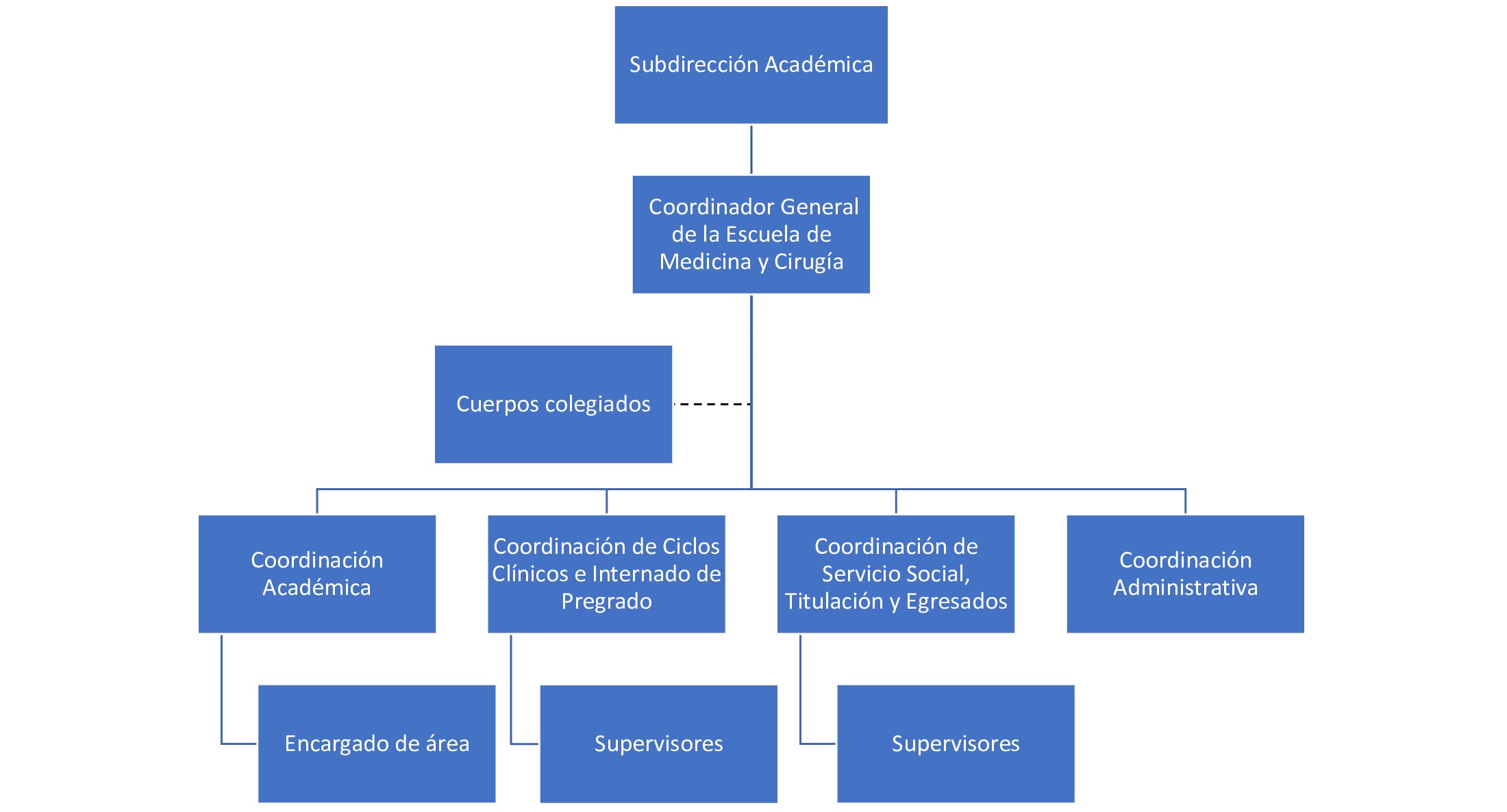 organigrama