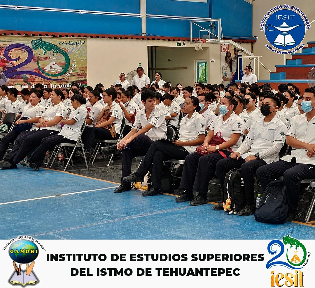Imagen 5