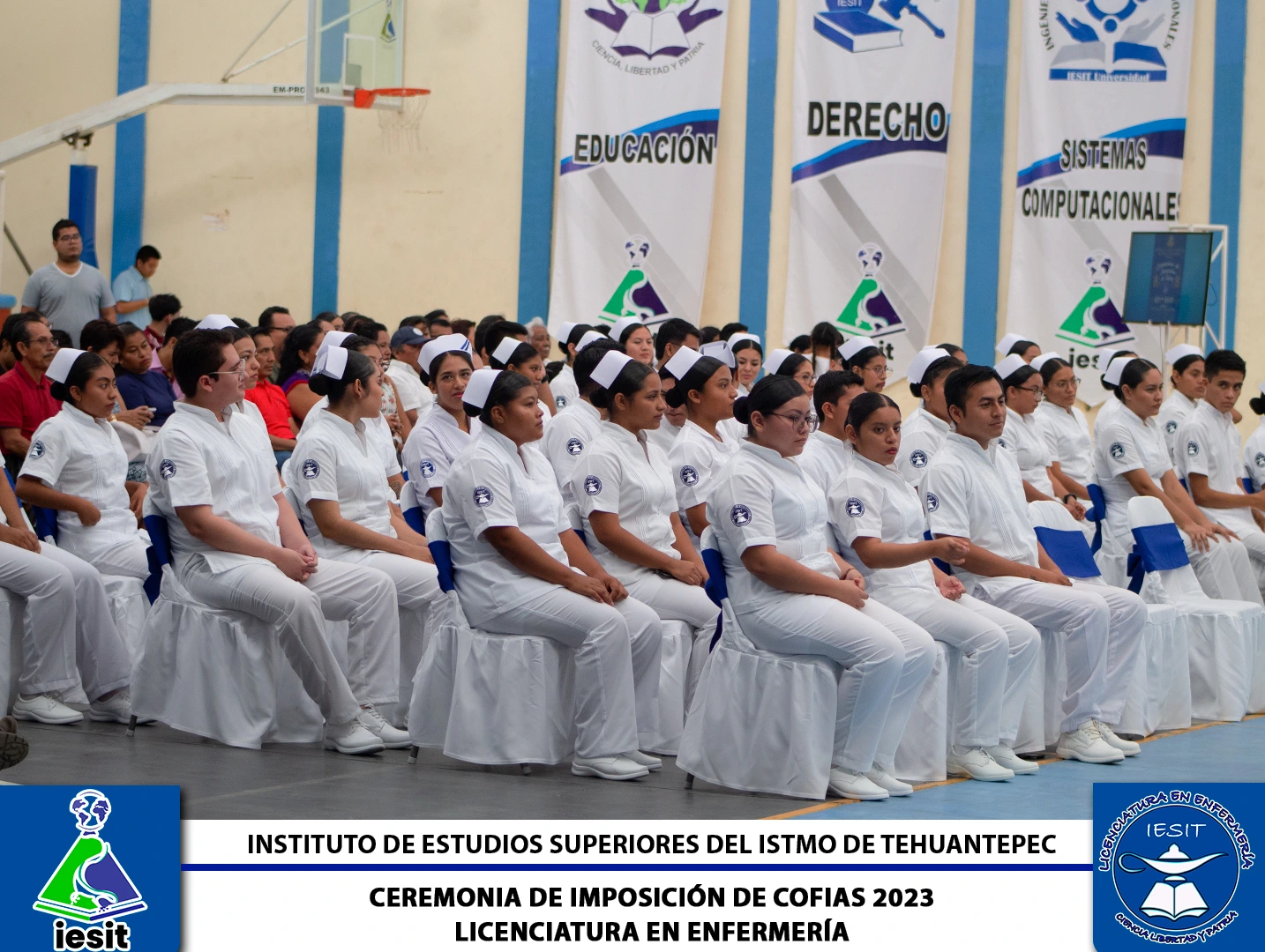 Imagen 6