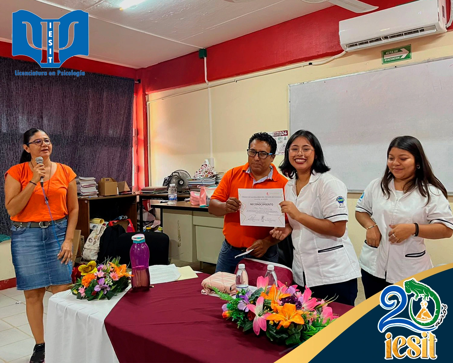 Imagen 5