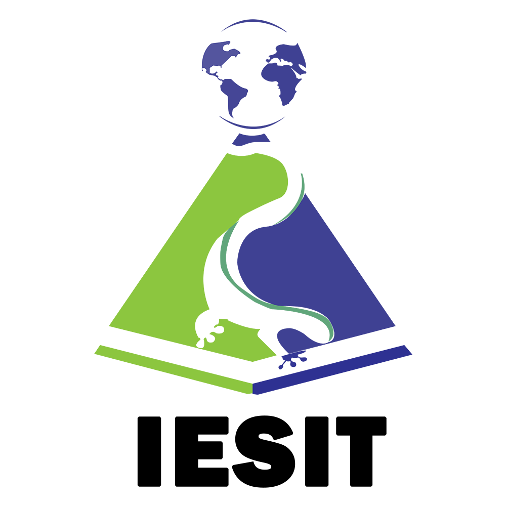 Logo IESIT